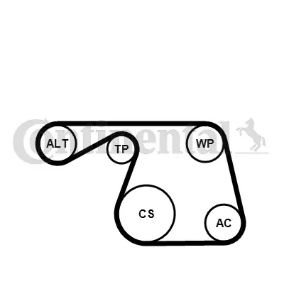 Water Pump + V-ribbed Belt Kit